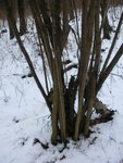 BILD0043.jpg