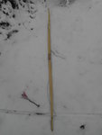 DSCI6955.JPG