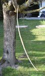DSC_0383.JPG