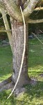 DSC_0380.JPG