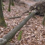 IMG_2434.JPG
