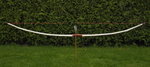 P7.JPG