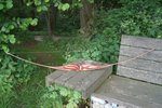 DSC01336.jpg